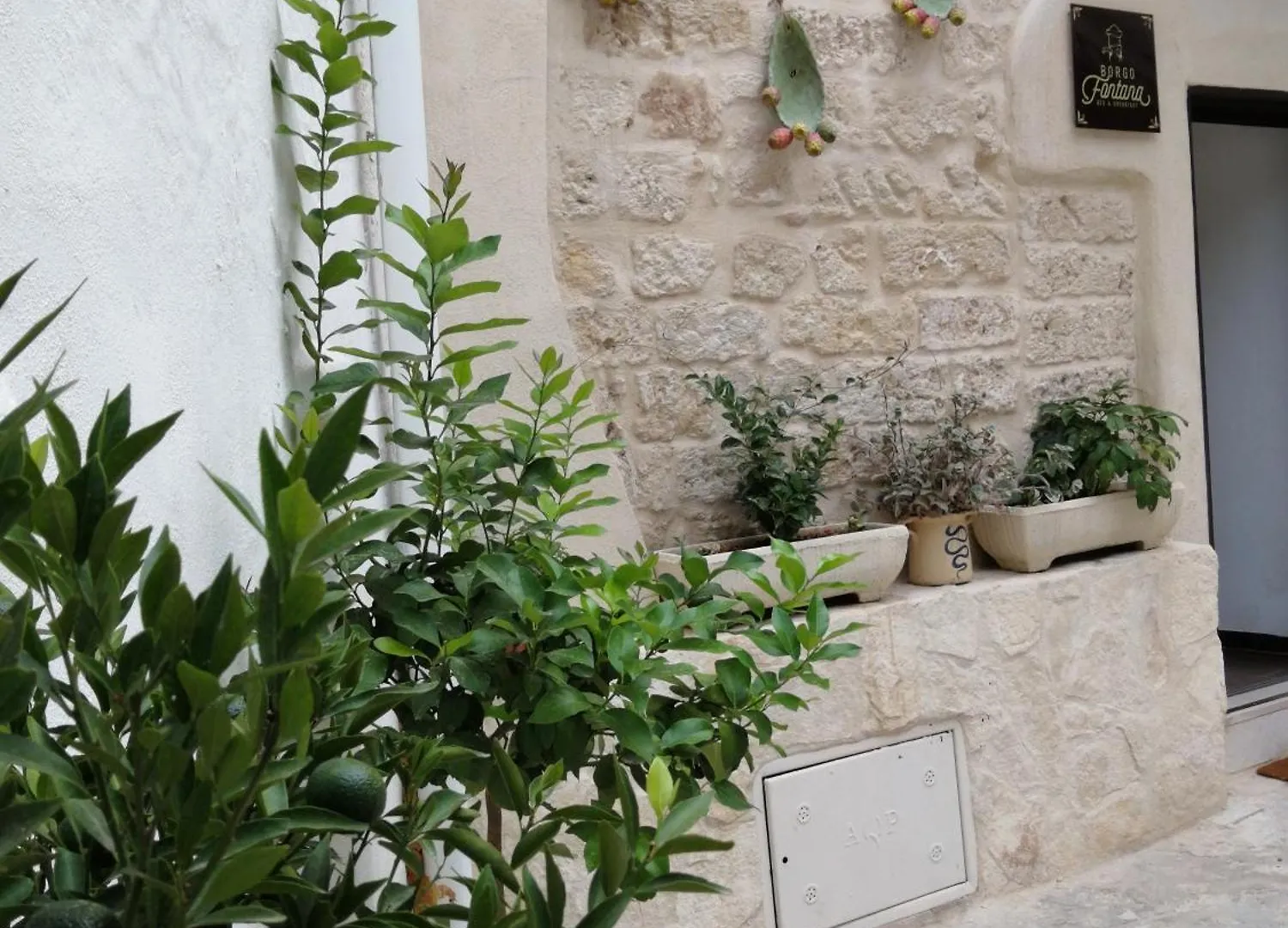 Borgo Fontana B&B Bari